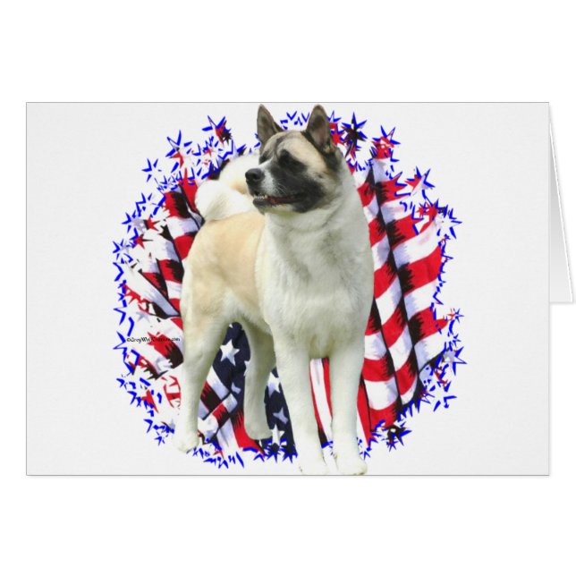 Akita Patriot (Devant horizontal)