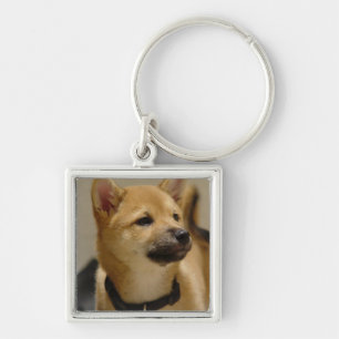 Akita Pictures  Keychain