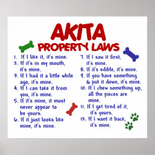 AKITA PL2 POSTER