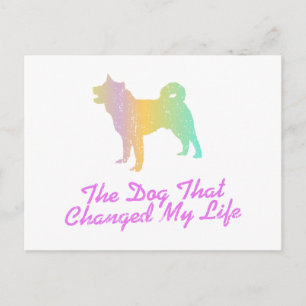 Akita Postcard