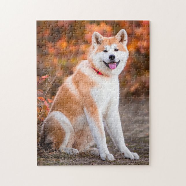 Akita sitting jigsaw puzzle (Vertical)