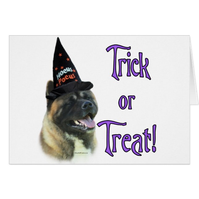 Akita Trick (Devant horizontal)