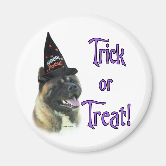 Akita Trick Magnet (Front)