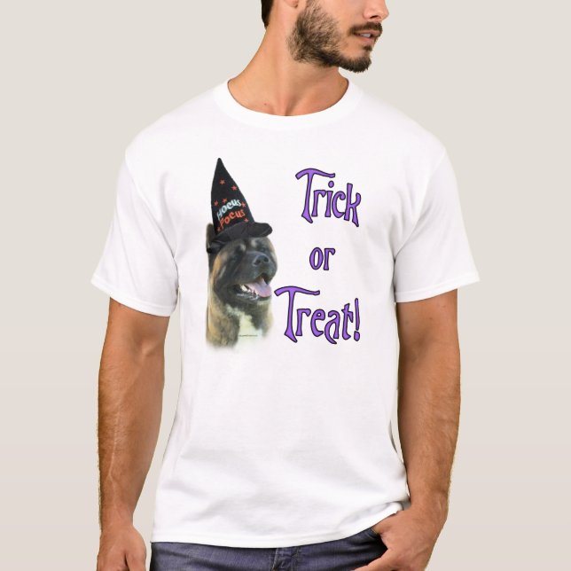 Akita Trick T-Shirt (Front)