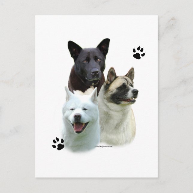 Akita Trio Postcard (Front)