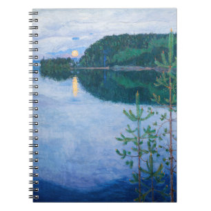 Akseli Gallen-Kallela - Spring Night Notebook