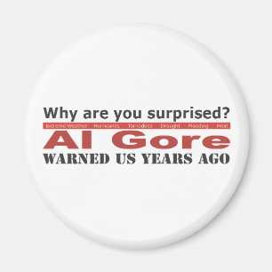 Al Gore Warned Us Magnet