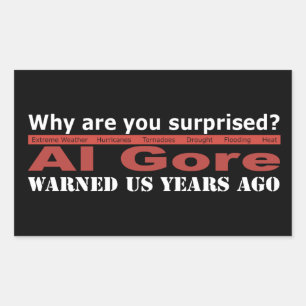 Al Gore Warned Us Sticker