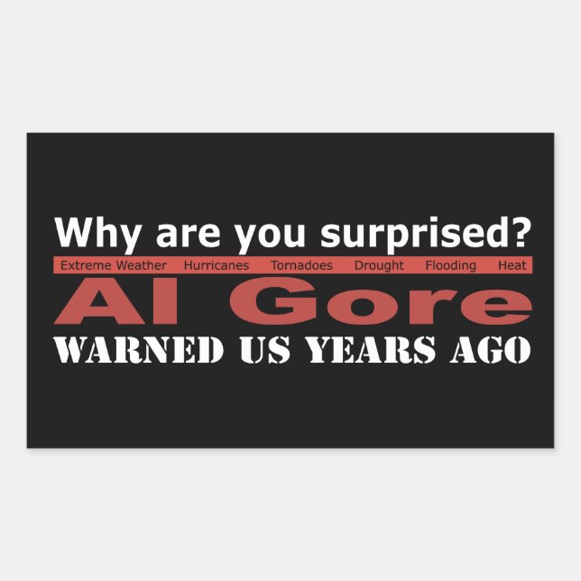 Al Gore Warned Us Sticker (Front)