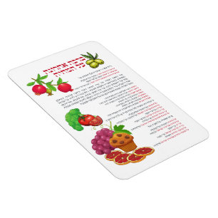 Al haMichya Hebrew Blessing After Food Colourful Magnet