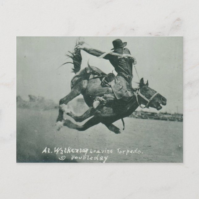 Al Wilkenson riding Torpedo. Postcard (Front)