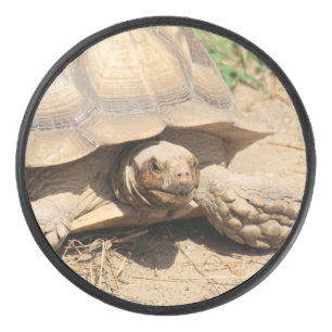 Ala aldabra hockey puck