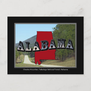 Alabama Cheaha Mountain Talladega Forest Post Card