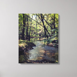 Alabama Scenic Riverway Canvas Print