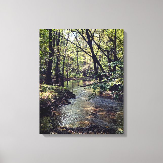 Alabama Scenic Riverway Canvas Print (Front)