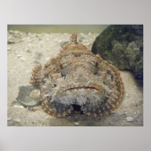 Alabama Sea Life #3 Canvas Print