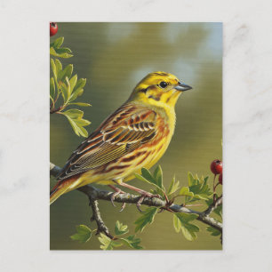 Alabama State Bird Yellowhammer Postcard