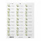 Alabaster Floral Return Address
