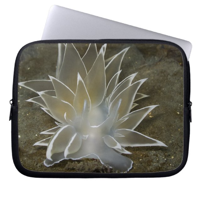 Alabaster Nudibranch Electronics Bag (Front)