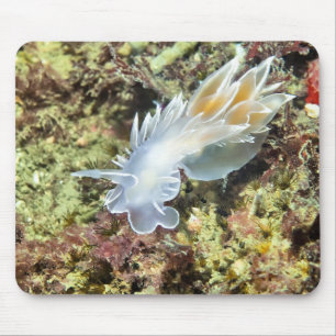 Alabaster Nudibranch Mouse Pad