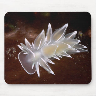 Alabaster Nudibranch Mouse Pad