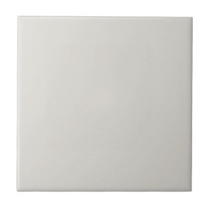 Alabaster - Off White Solid Colour Pairs To SW 701 Tile
