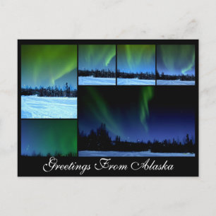 Alaksa Aurora Collage Postcard