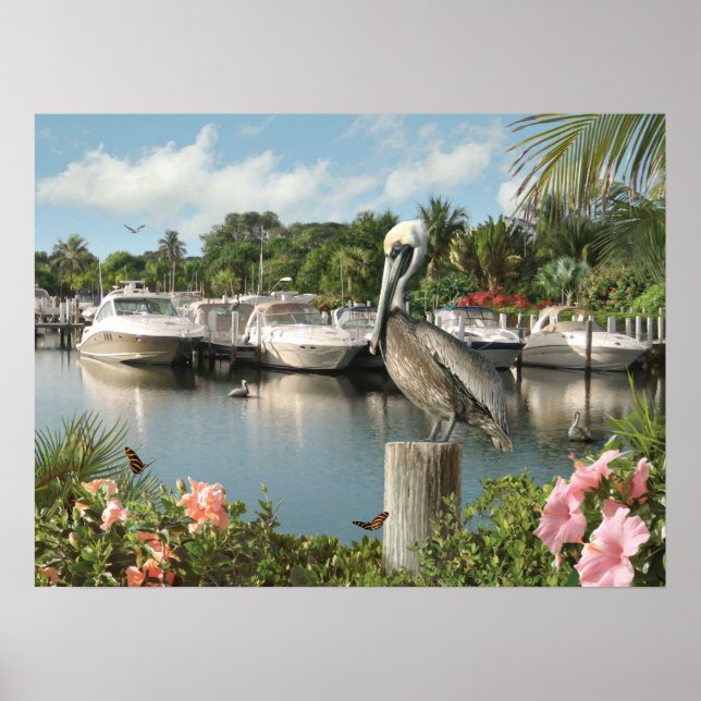 Alan Giana "Pelican Cove"  Poster (Front)