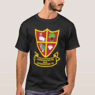 Alan Partridge Blazer Badge T-shirt classique