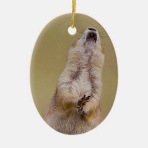 Alarm Ceramic Ornament