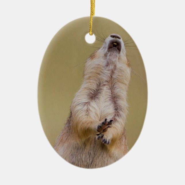 Alarm Ceramic Ornament (Front)
