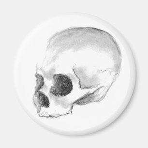Alas, poor Yorick! Magnet