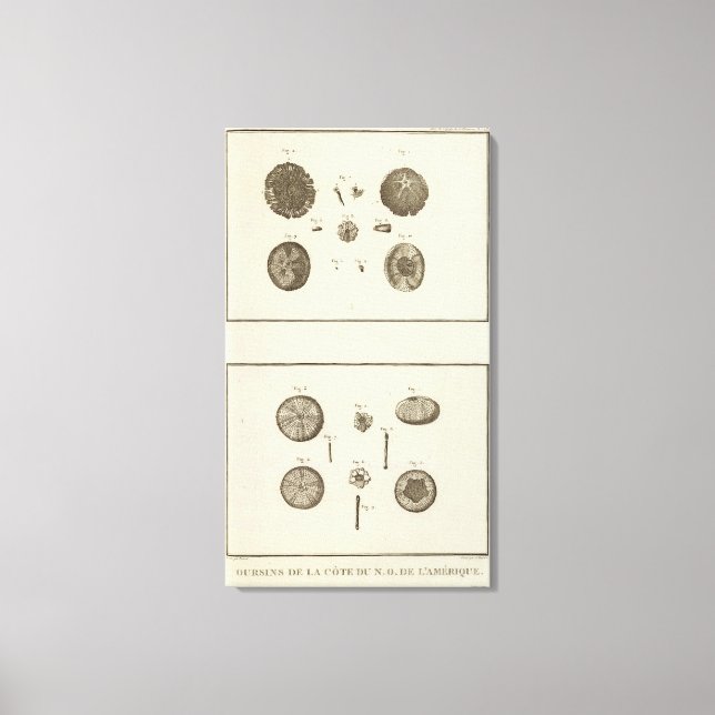 Alaska 10 canvas print (Front)