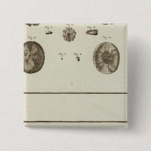 Alaska 2 Inch Square Button