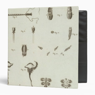 Alaska 3 binder