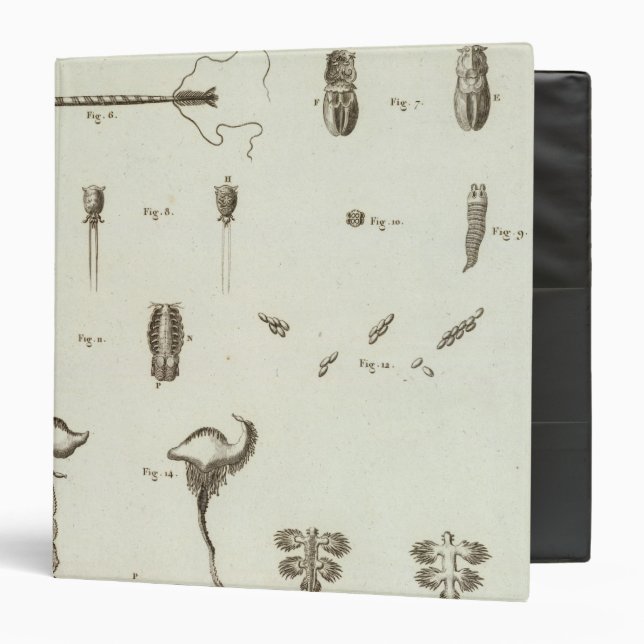 Alaska 3 binder (Front/Inside)