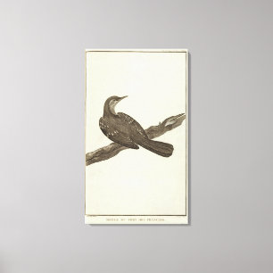 Alaska 6 canvas print