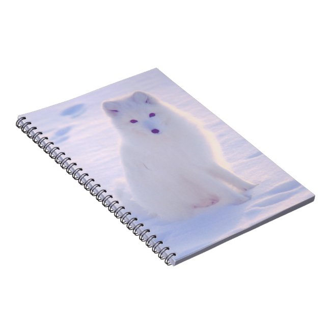 Alaska Arctic Winter Fox Photo Designed Journal (Côté Droit)