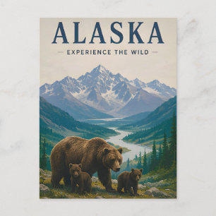 🐻 Alaska Brown Bear Mountain Wilderness 🏔️ Postcard