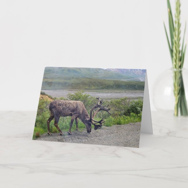 Alaska - Caribou 1 Invitation (Front)