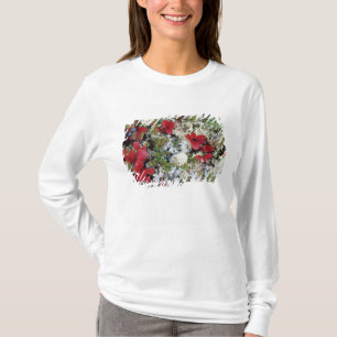Alaska, Denali National Park, Arctic tundra is T-Shirt