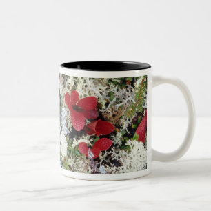 Alaska, Denali National Park, Arctic tundra is Two-Tone Coffee Mug