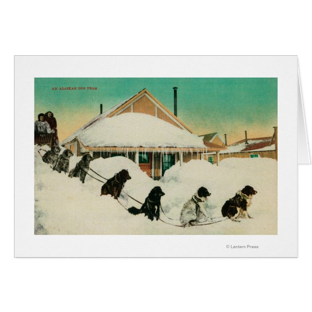 Alaska Dogsled Team resting in SnowState (Front Horizontal)
