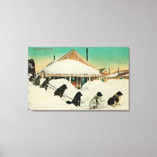 Alaska Dogsled Team resting in SnowState Canvas Print (Front)