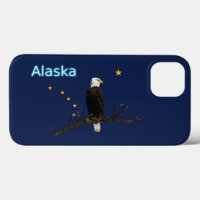 Alaska Eagle And Flag