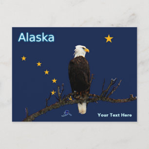 Alaska Eagle And Flag Postcard