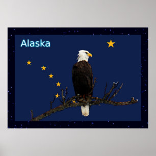 Alaska Eagle And Flag Poster