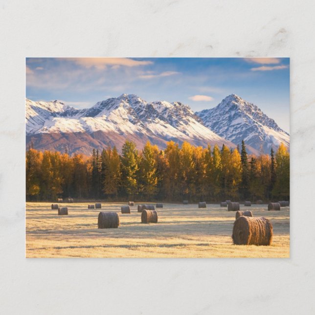 Alaska Farming Postcard (Front)