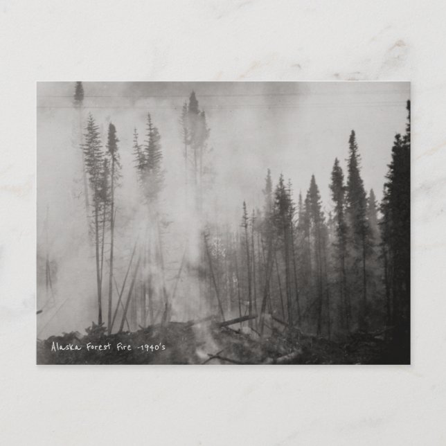 Alaska Forest Fire 1940's Postcard (Front)
