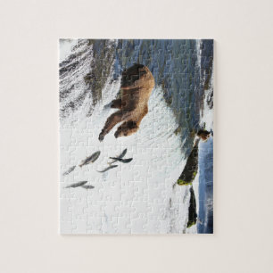 Alaska - Grizzly 1 Jigsaw Puzzle